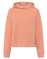 Great Plains Soft Sweat Long-sleeved Hooded Top - Multicolor