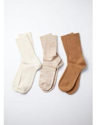 RoToTo - Ecru/ Organic Daily 3 Pack Ankle Socks S - Lyst