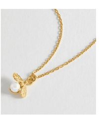 Estella Bartlett - Pearl Bee Pendant Necklace Plated - Lyst