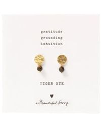 A Beautiful Story - Aw30814 Mini Coin Tiger Eye Gp Earrings One Size - Lyst