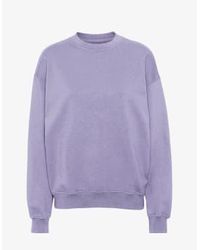 COLORFUL STANDARD - Sweat à cou couche à l'équipage en coton biologique violet - Lyst