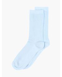 mpDenmark - Cotton Rib Ankle Socks Skyride 37-39 - Lyst