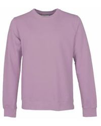 COLORFUL STANDARD - Organic Crew Sweat Pearly / M - Lyst