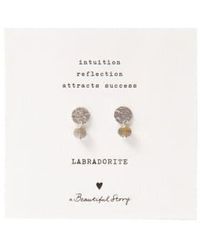 A Beautiful Story - Mini Coin Labradorite Earrings - Lyst