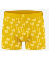 Adam Lippes - Boxer Briefs Palm Trees - Lyst