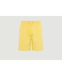 COLORFUL STANDARD - Organic Cotton Classic Sports Shorts - Lyst