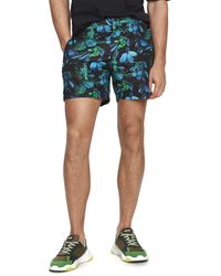 maillot scotch and soda