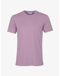 COLORFUL STANDARD - Perlleinig lila bio -baumwoll -t -shirt - Lyst
