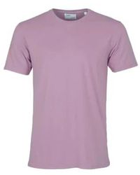 COLORFUL STANDARD - Camiseta orgánica clásica color púrpura - Lyst