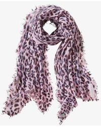 PUR SCHOEN - Hand Felted Cashmere Soft Scarf Leo + Gift - Lyst