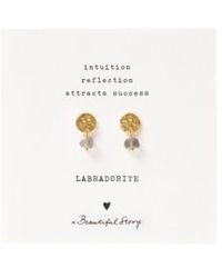 A Beautiful Story - Aw30804 Mini Coin Labradorite Gp Earrings One Size - Lyst