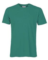 COLORFUL STANDARD - Klassische organische t-shirt-kieferngrün - Lyst