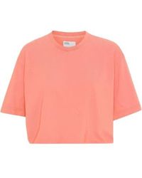 COLORFUL STANDARD - Bright Coral Organic Boxy Crop T-shirt Xs - Lyst