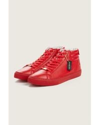 true religion tennis shoes