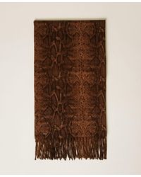 Twinset - Animal Print Stole - Lyst
