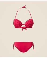 Twinset - Push-Up Bikini Top With Embroidery And Briefs - Lyst