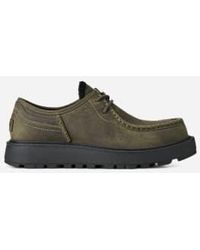 UGG - Loften Chukka - Lyst