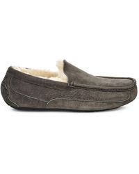 ugg ascot charcoal slipper