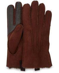 UGG Sheepsk - Braun