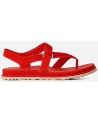 UGG - Goldengaze Toe Post Suede Sandals - Lyst