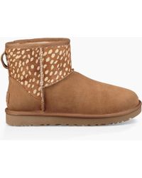 ugg tipper ugg tipper