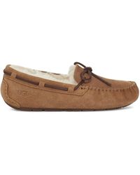 ugg dakota slippers clearance