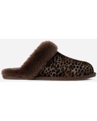 UGG - Scuffette Caspian Sheepskin/Cow Hair Slippers - Lyst