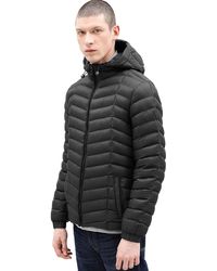 timberland mens mount garfield thermore insulated hooded jacket