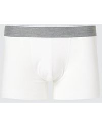 Uniqlo - Cotton Boxer Briefs (Low Rise) - Lyst
