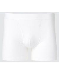 Uniqlo - Cotton Boxer Briefs (Regular Rise) - Lyst
