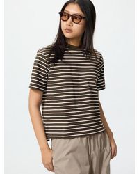 Uniqlo - Airism Cotton T-Shirt (Striped) - Lyst