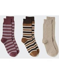 Uniqlo - Socks (Striped, 3 Pairs) - Lyst