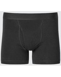 Uniqlo - Cotton Boxer Briefs (Regular Rise) - Lyst