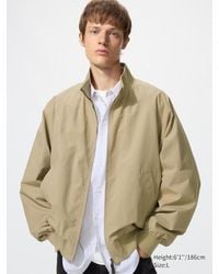 Uniqlo - Harrington Jacket - Lyst