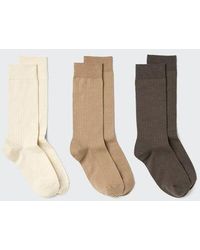 Uniqlo - Socks (Ribbed, 3 Pairs) - Lyst