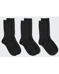 Uniqlo - Socks (Ribbed, 3 Pairs) - Lyst