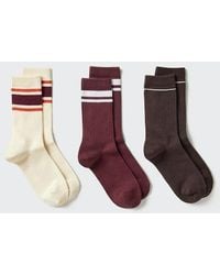 Uniqlo - Socks (Ribbed Line, 3 Pairs) - Lyst