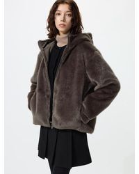 Uniqlo - Hooded Jacket - Lyst