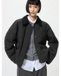 Uniqlo - Kort Utility Jack (Gewatteerd) - Lyst