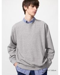 Uniqlo - Sweatshirt - Lyst