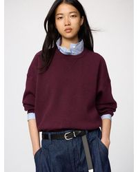 Uniqlo - Smooth Cotton Crew Neck Jumper - Lyst