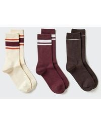 Uniqlo - Socks (Ribbed Line, 3 Pairs) - Lyst