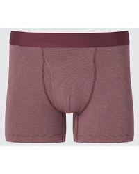 Uniqlo - Cotton Boxer Briefs (Striped) - Lyst