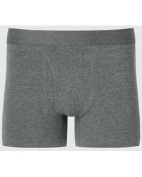 Uniqlo - Cotton Boxer Briefs (Regular Rise) - Lyst
