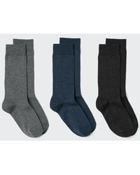 Uniqlo - Socks (Ribbed, 3 Pairs) - Lyst
