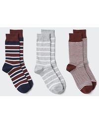 Uniqlo - Socks (Striped, 3 Pairs) - Lyst