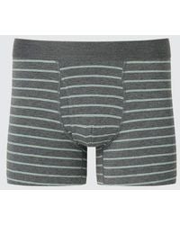 Uniqlo - Cotton Boxer Briefs (Striped) - Lyst