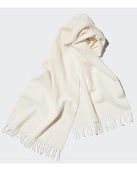 Uniqlo - 100% Cashmere Scarf - Lyst