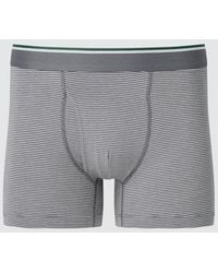 Uniqlo - Cotton Boxer Briefs (Waist Striped) - Lyst