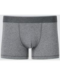 Uniqlo - Cotton Boxer Briefs (Low Rise) - Lyst